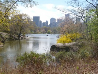 Cental Park, New York, March 2012