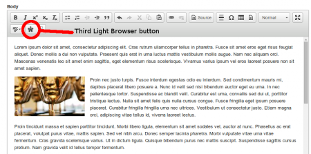 WYSIWYG with ThirdLight browser button