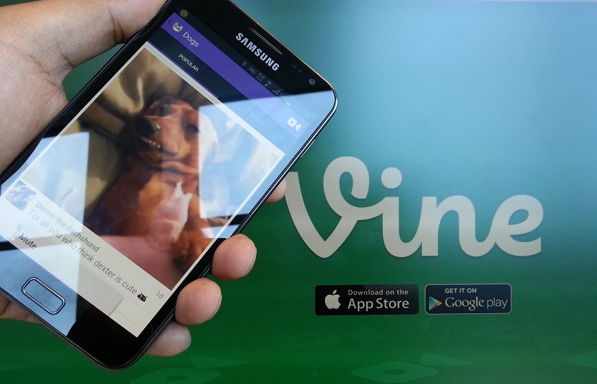 Vine on a phone