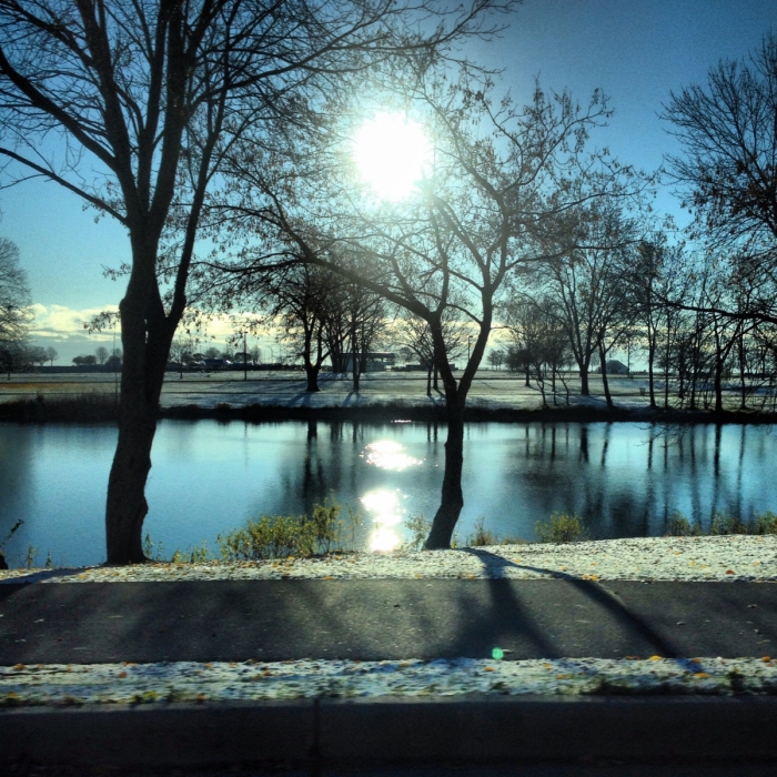 Sunlight and blue sky meeting lake and trees