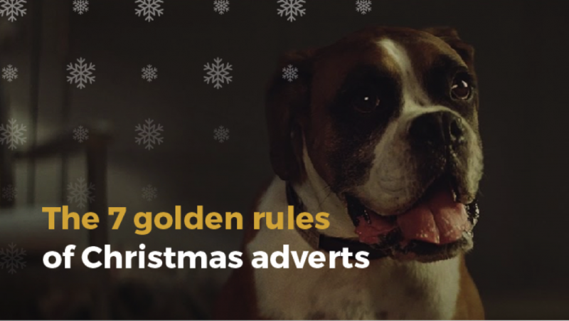 Buster the boxer, john lewis christmas advert