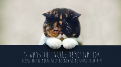 Demotivated cat - 5 ways to tackle demotivation