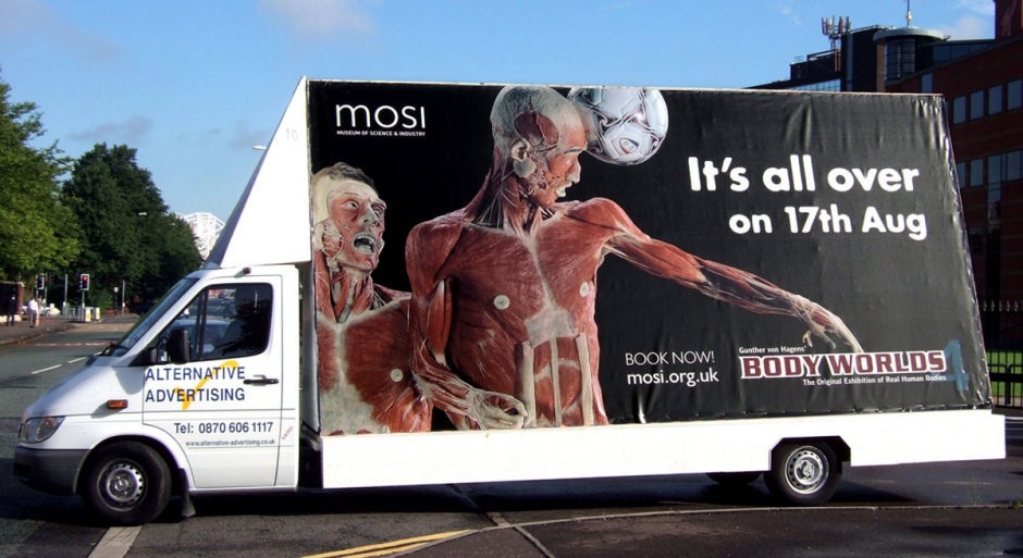 Museum of Science &amp; Industry Bodyworlds 4